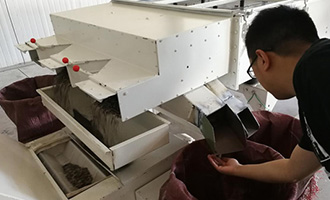 The Story of a Xinjiang Melon Seed in Henan! Tracing back along BESTORE's Supply Chain to Find Out How Special the Prime Melon Seeds Are！